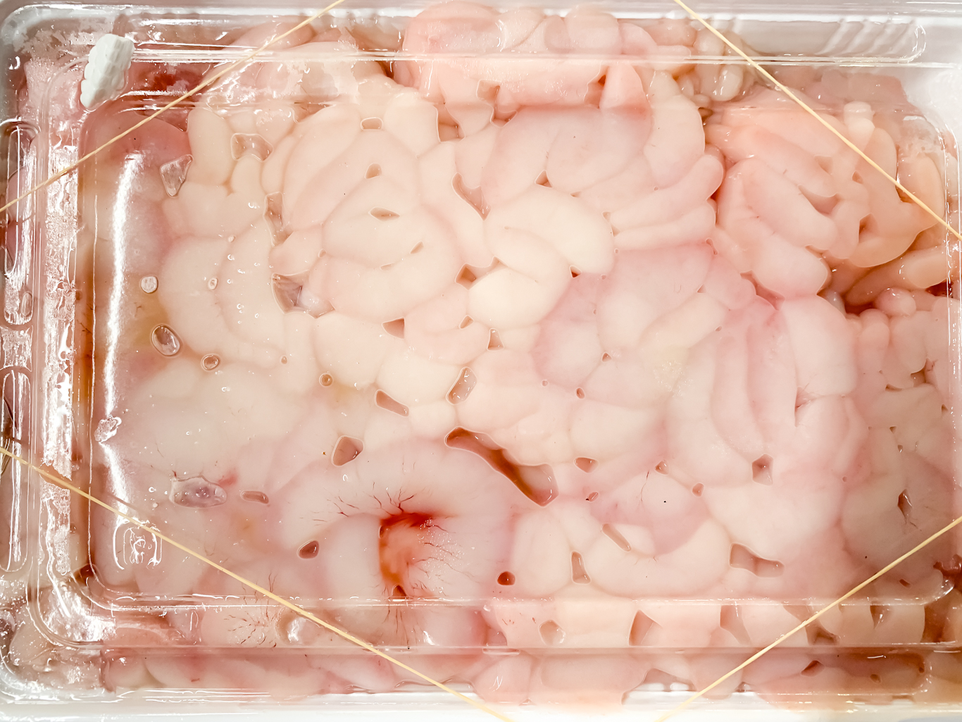 特/タラ白子（2特）